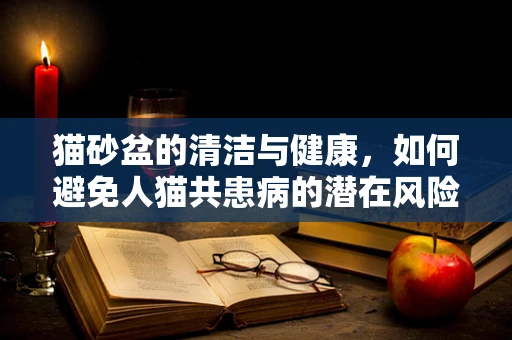 猫砂盆的清洁与健康，如何避免人猫共患病的潜在风险？