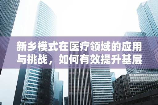 新乡模式在医疗领域的应用与挑战，如何有效提升基层医疗服务质量？