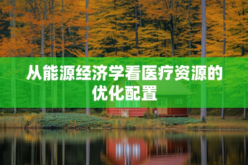 从能源经济学看医疗资源的优化配置