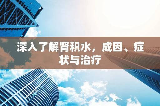 深入了解肾积水，成因、症状与治疗